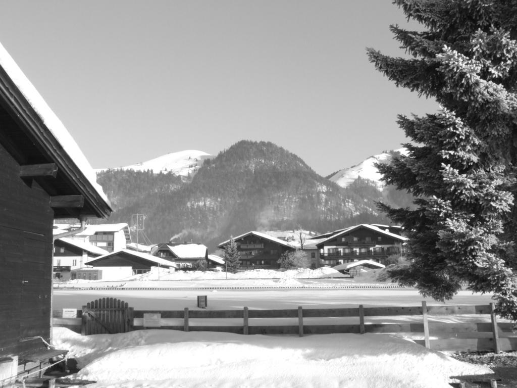 Karrerhof Apartment Walchsee Exterior photo
